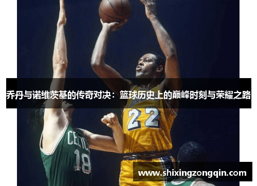 乔丹与诺维茨基的传奇对决：篮球历史上的巅峰时刻与荣耀之路