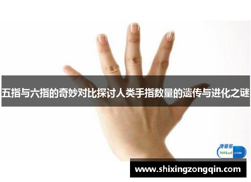 五指与六指的奇妙对比探讨人类手指数量的遗传与进化之谜