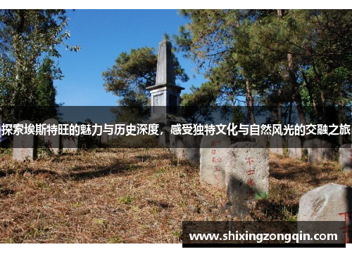 探索埃斯特旺的魅力与历史深度，感受独特文化与自然风光的交融之旅